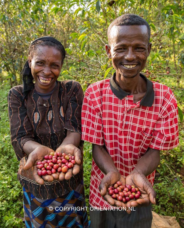 Fairtrade-Nederland-Koffie-Ethiopië-Effecten-klimaatverandering (18)
