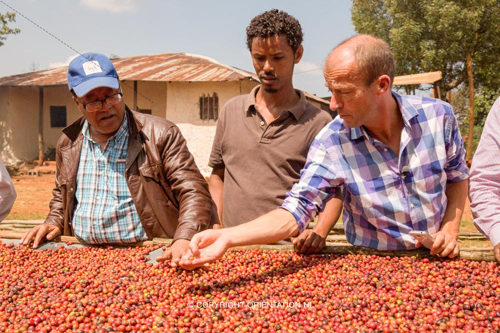 Fairtrade-Nederland-Koffie-Ethiopië-Effecten-klimaatverandering (6)