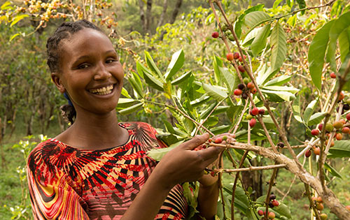 Fairtrade-koffieboeren-Silashi-&-Mulane_featured_image_02
