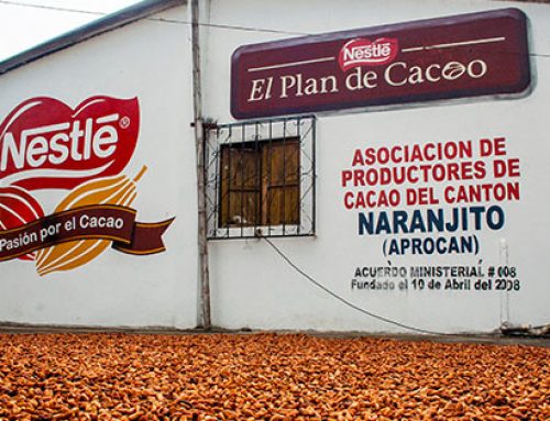 Nestlé Fairtrade Cocoa Plan