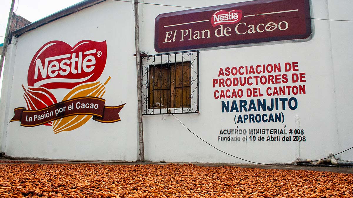 Nestlé-Cocoa-Plan_OTP_img06